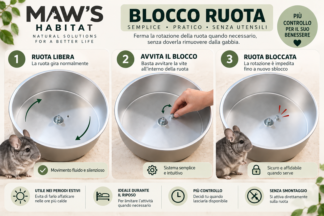 Blocco ruota per roditori: cos'è, come funziona e quando usarlo
