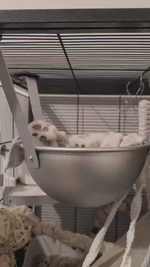 Ripiano sospeso per ratti installazione in gabbia